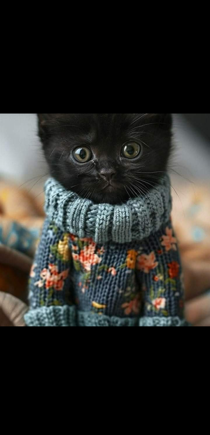 Avatar for Jackie's Yard works