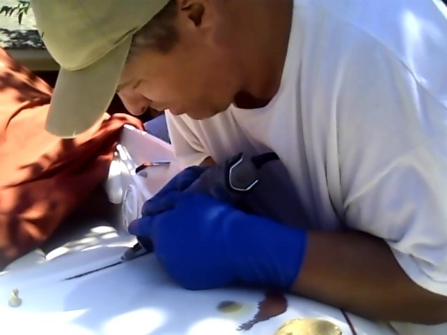 Avatar for Frazier Fiberglass Repair