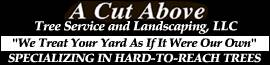 Avatar for A CUT ABOVE TREE SERVICE AND LANDSCAPING