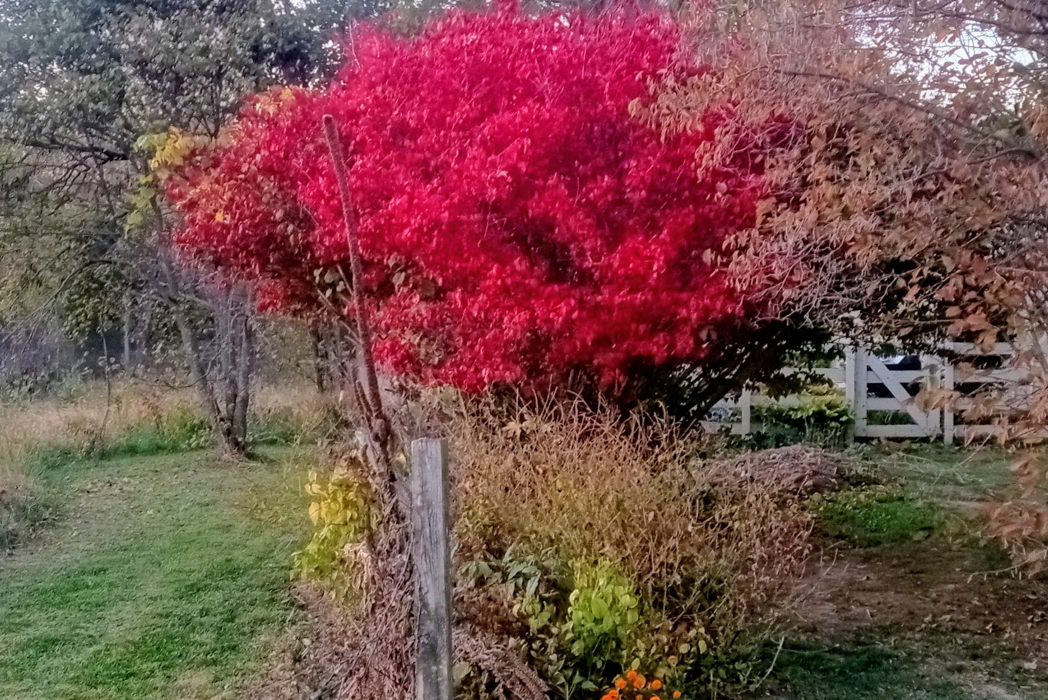 Avatar for Houser the Handyman