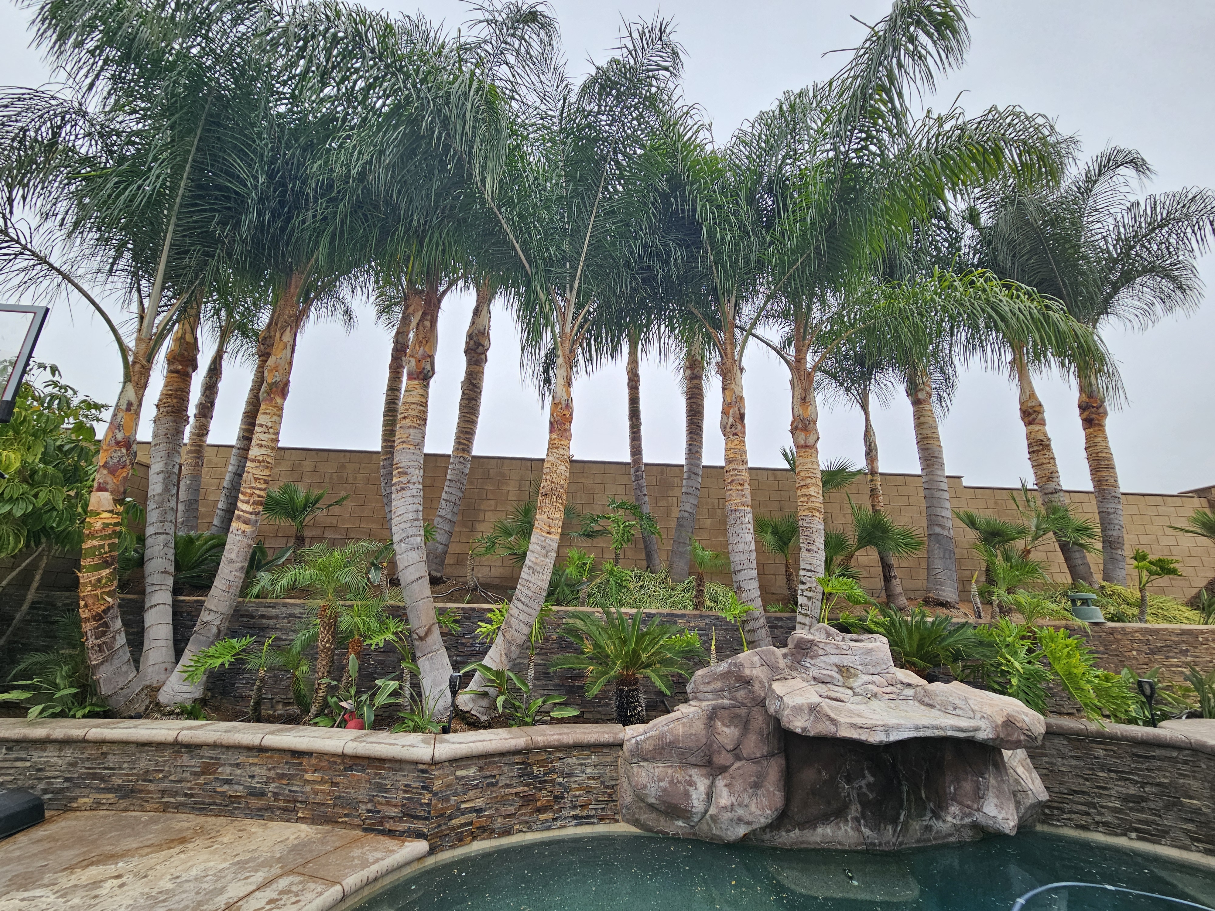 Avatar for Ed Tree Service 