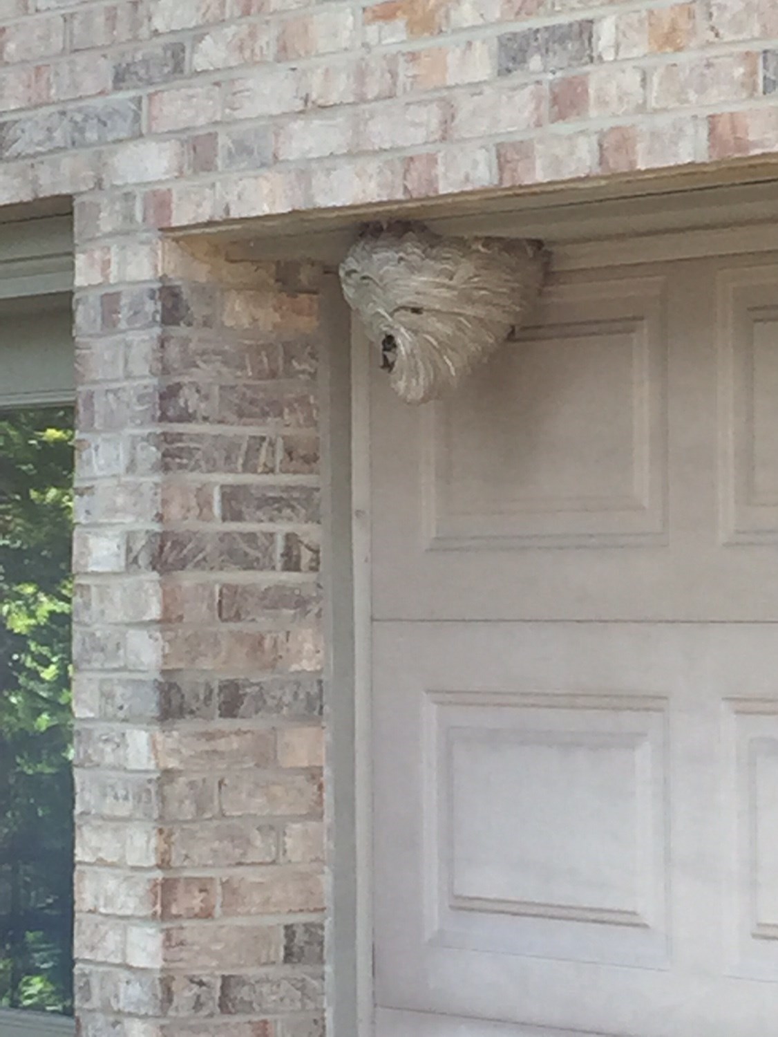 Avatar for COMPLETE PEST CONTROL SERVICES, LLC