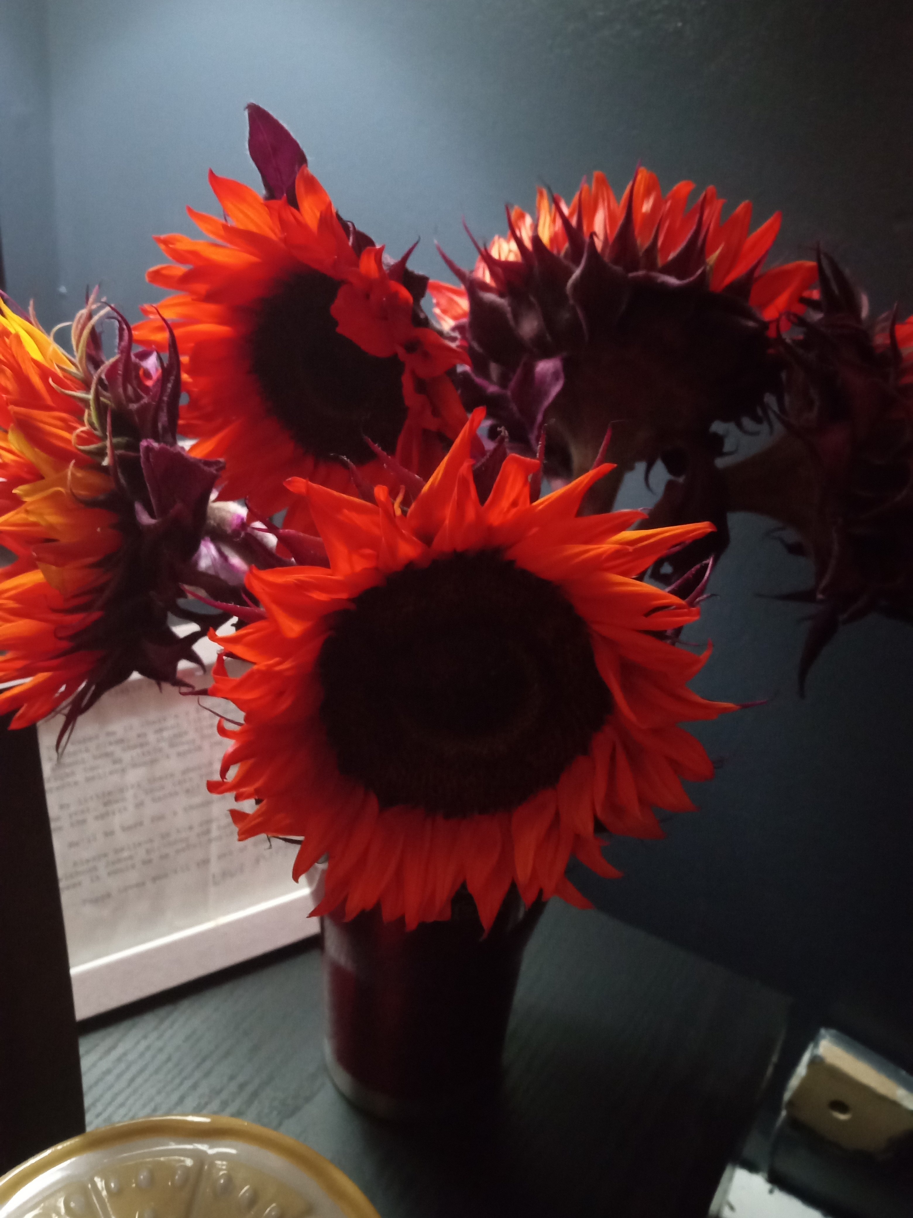 Avatar for Kyle Mikels