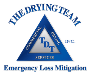 Avatar for The Drying Team