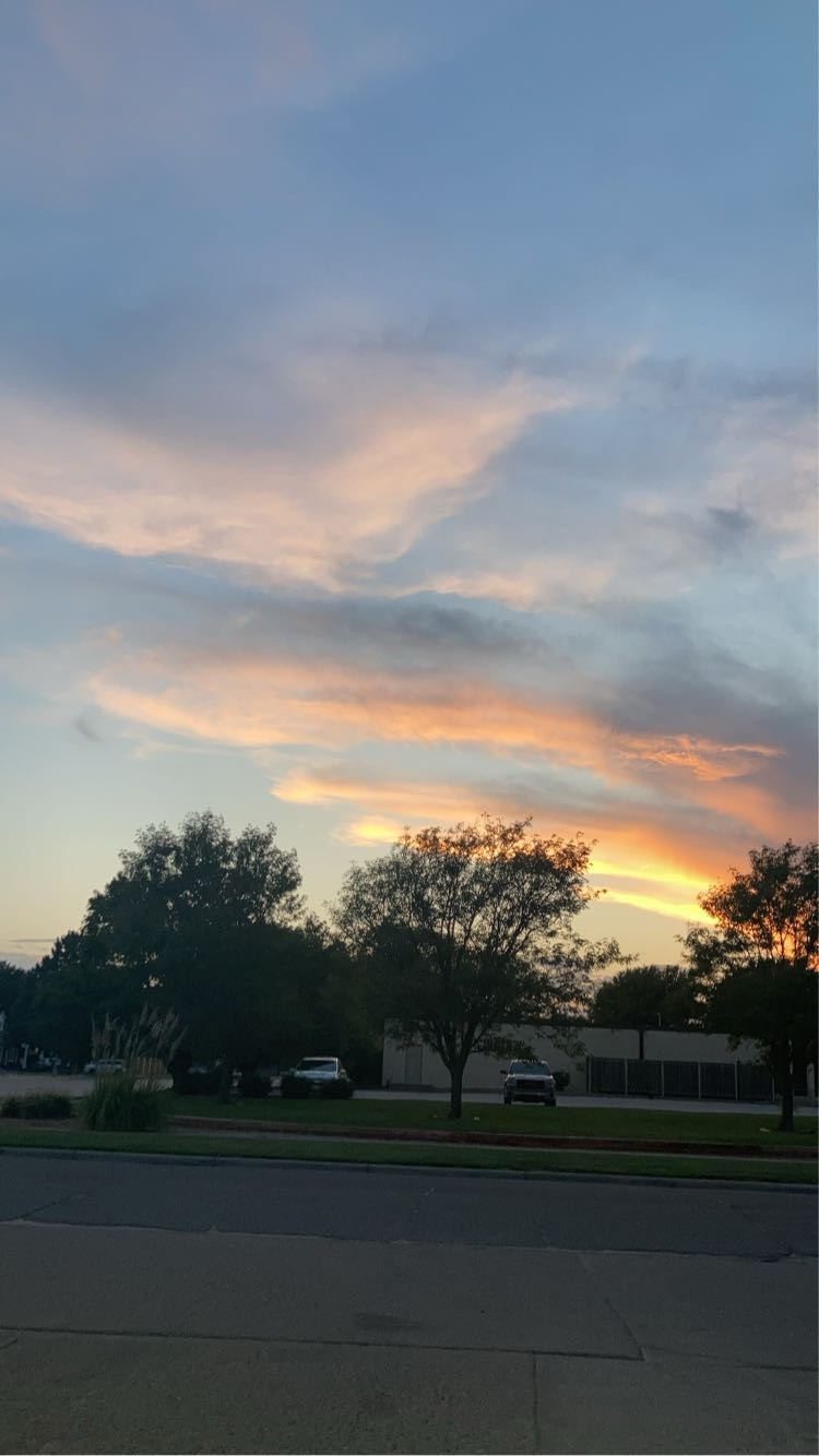 Avatar for Clean Spaces