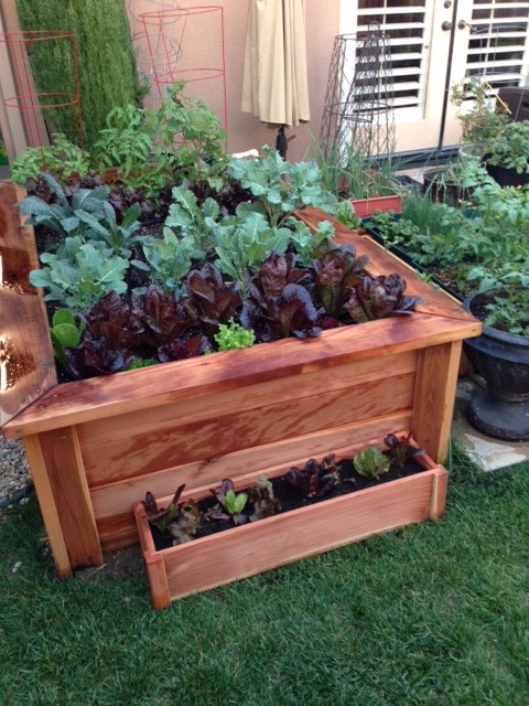Raised Vegetable bed