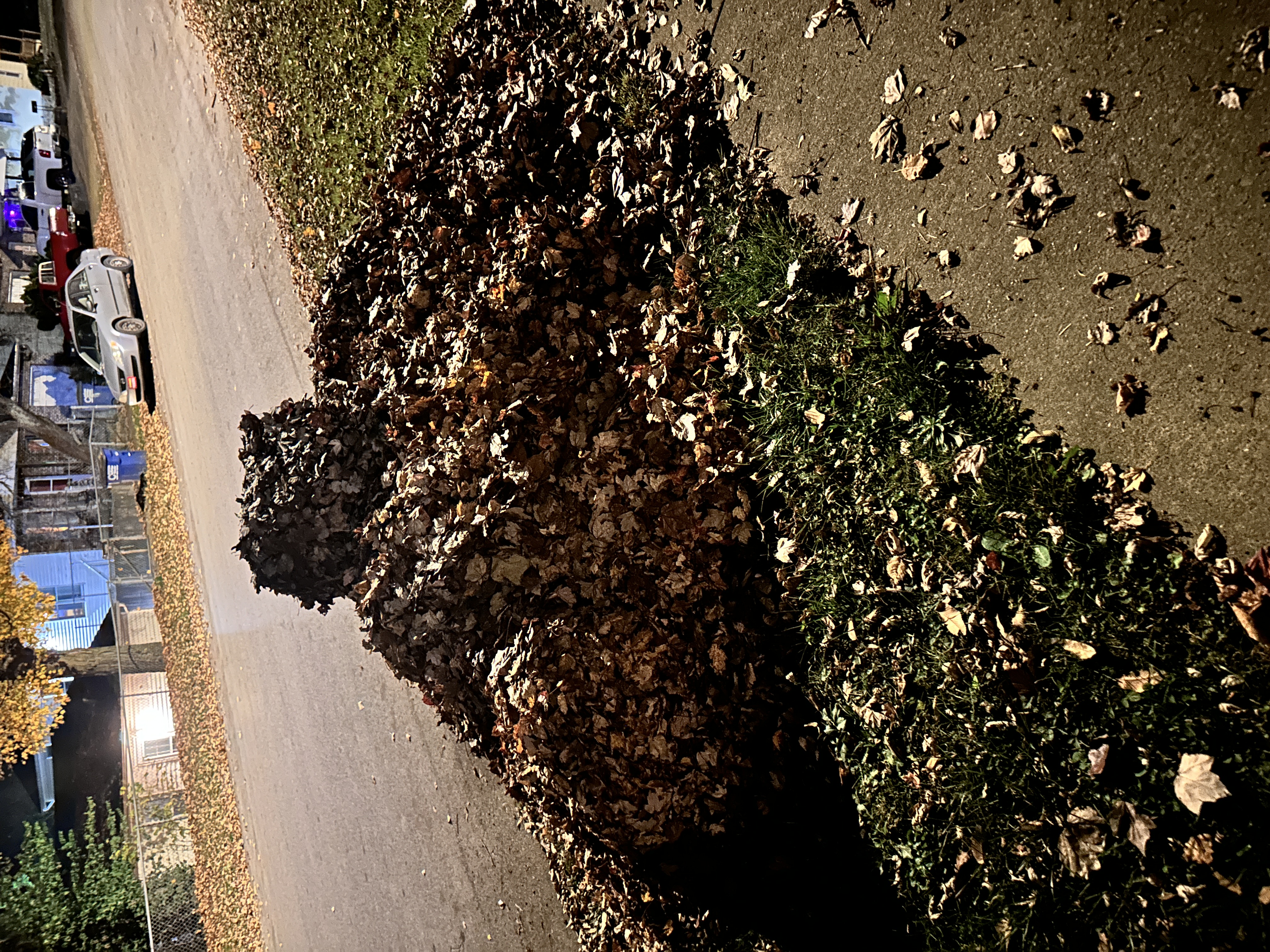 Avatar for Fence inc 