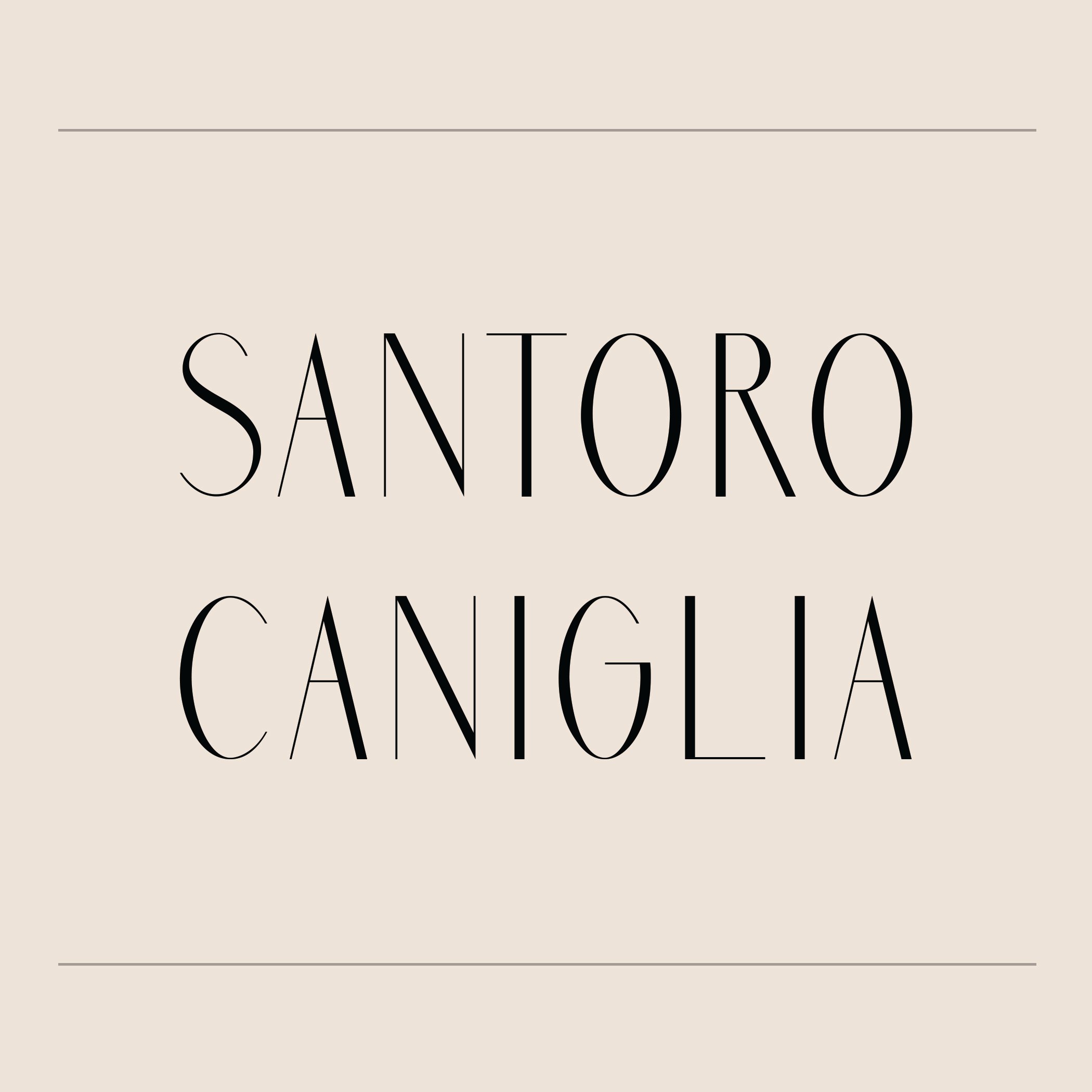 Avatar for Santoro Cangilia