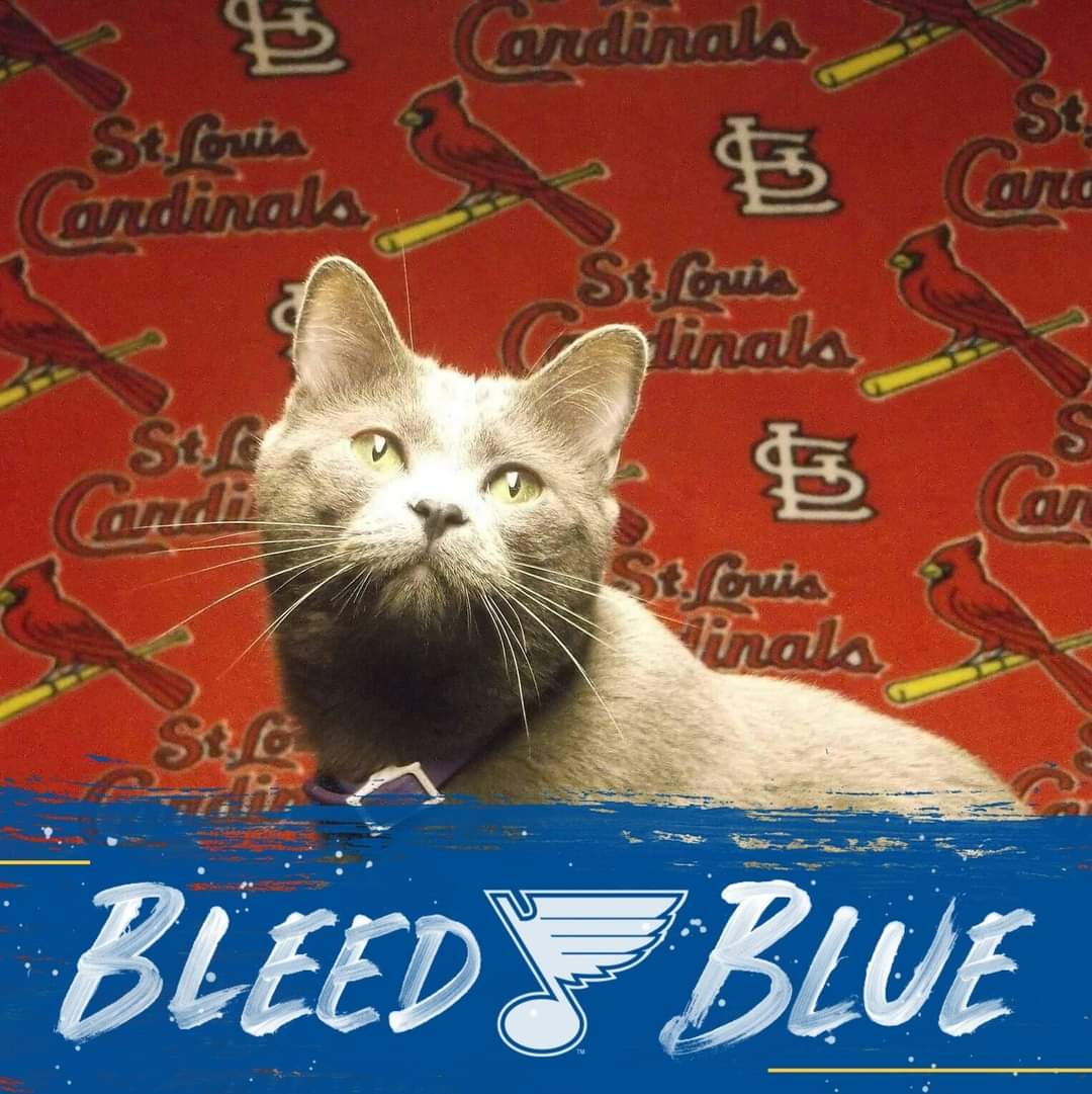 Avatar for Woods contracting