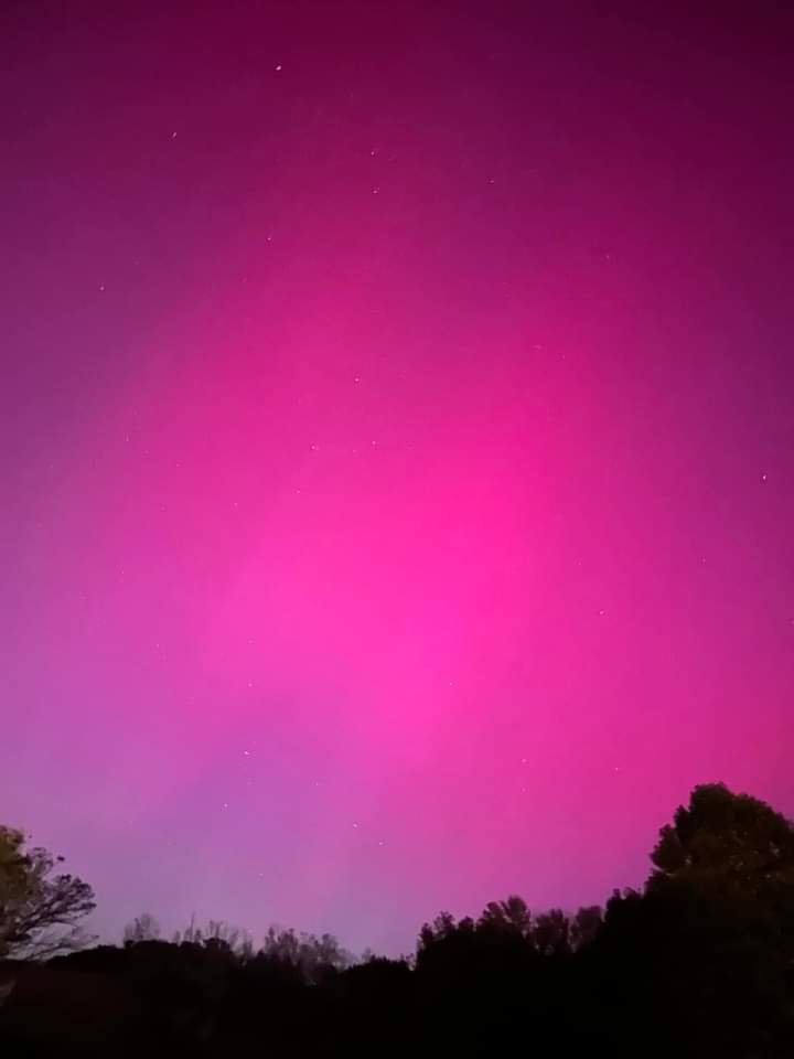 Avatar for THE cleaning gals