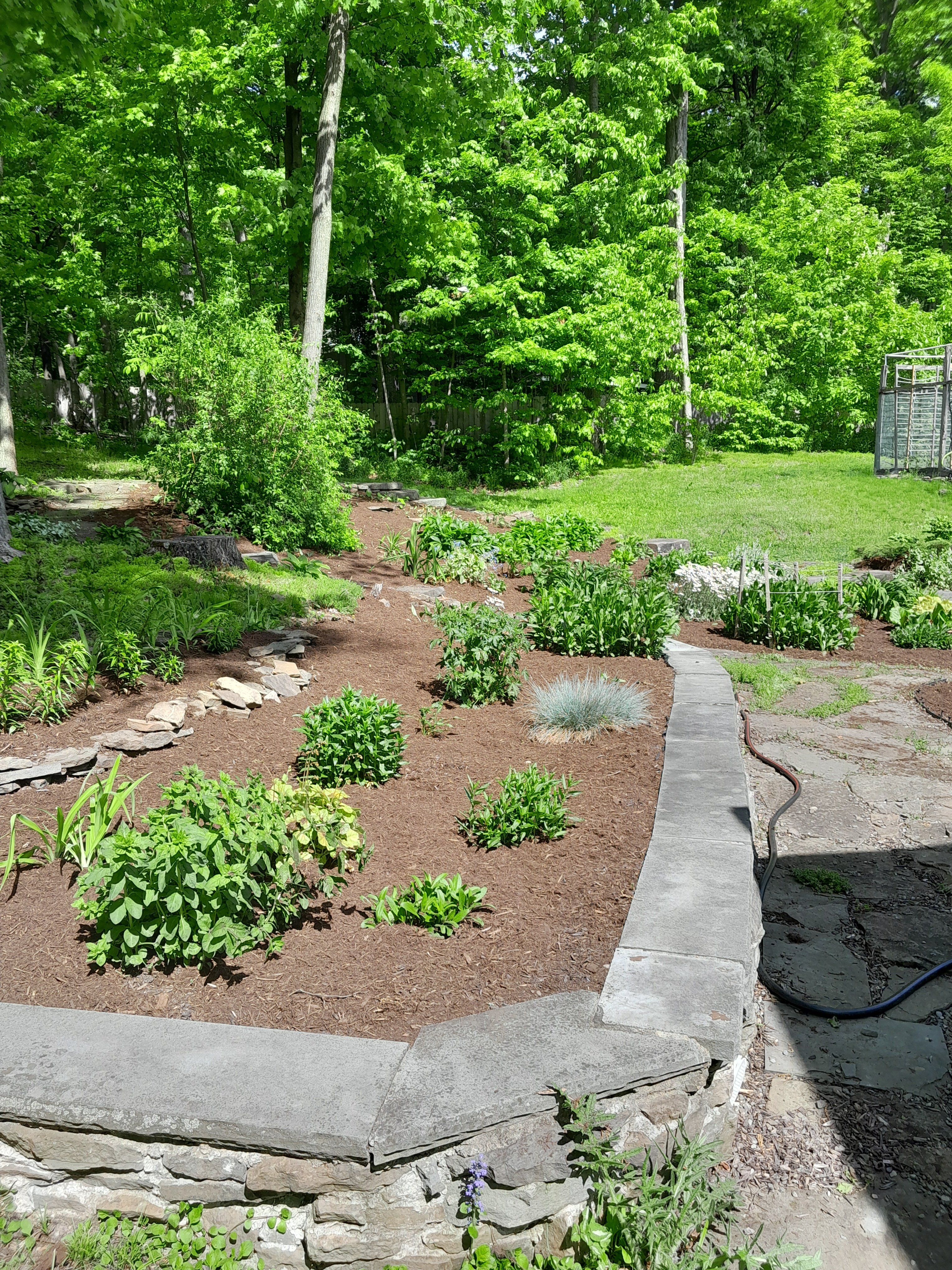 Avatar for Lockwoods landscaping and property maintenance