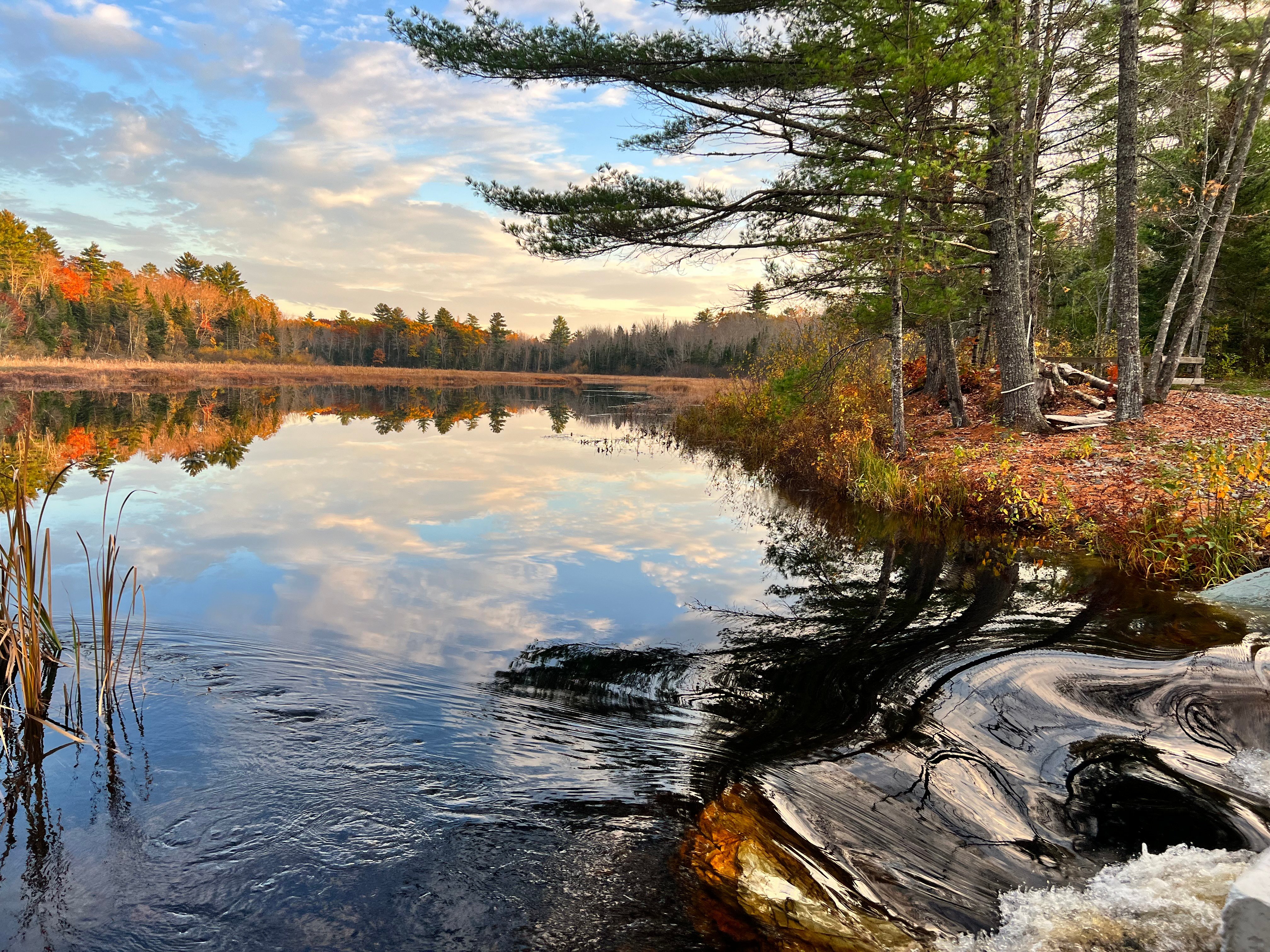 Avatar for CAJ Contracting