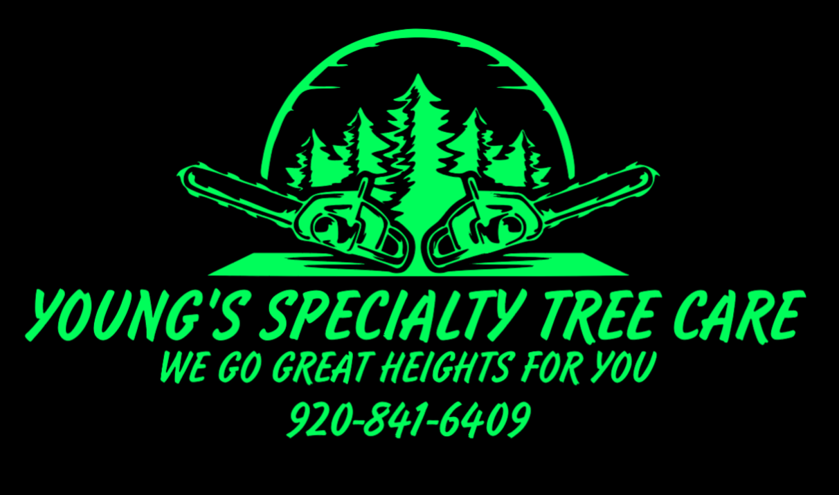 Avatar for Young's Specialty Tree Care