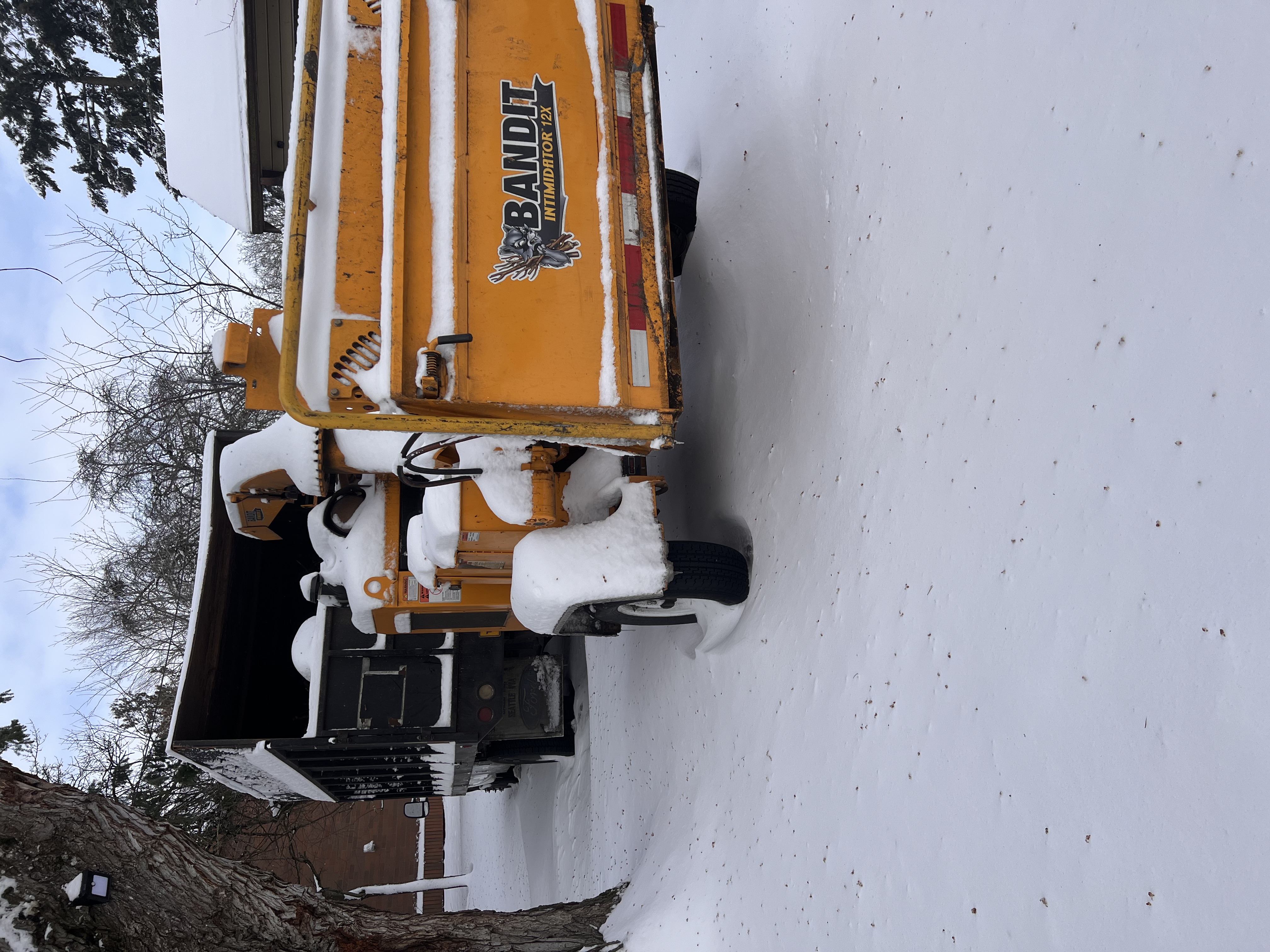 Avatar for ARBOR ART TREE SERVICE llc