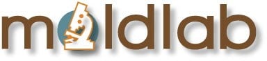 Logo for Moldlab