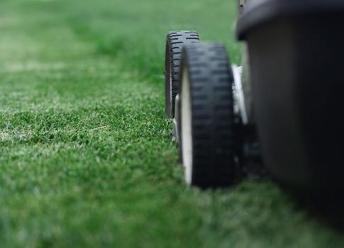 Dave & Son Lawn & Landscaping Service logo