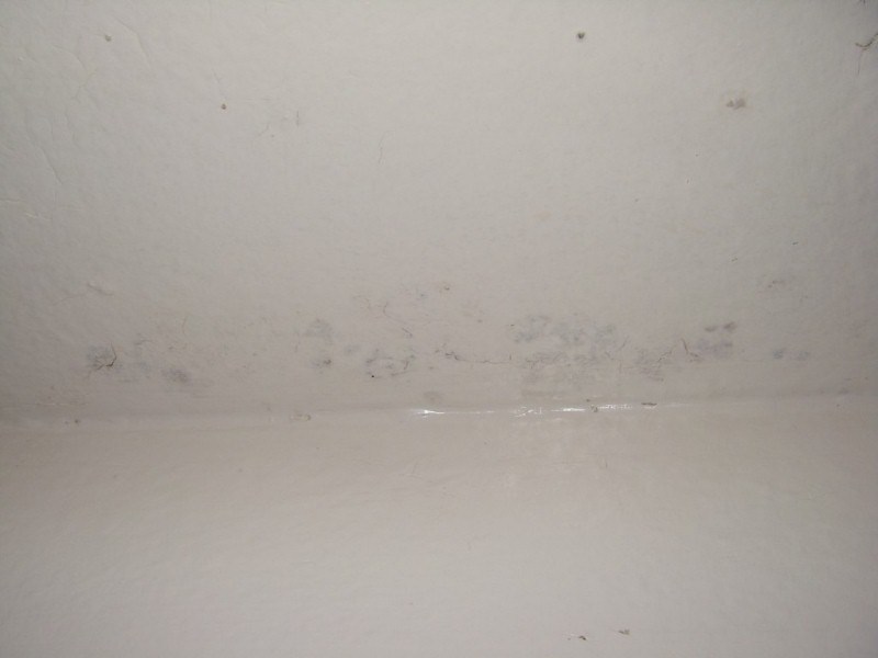 Water Damage