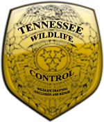 Avatar for Tennessee Wildlife Control