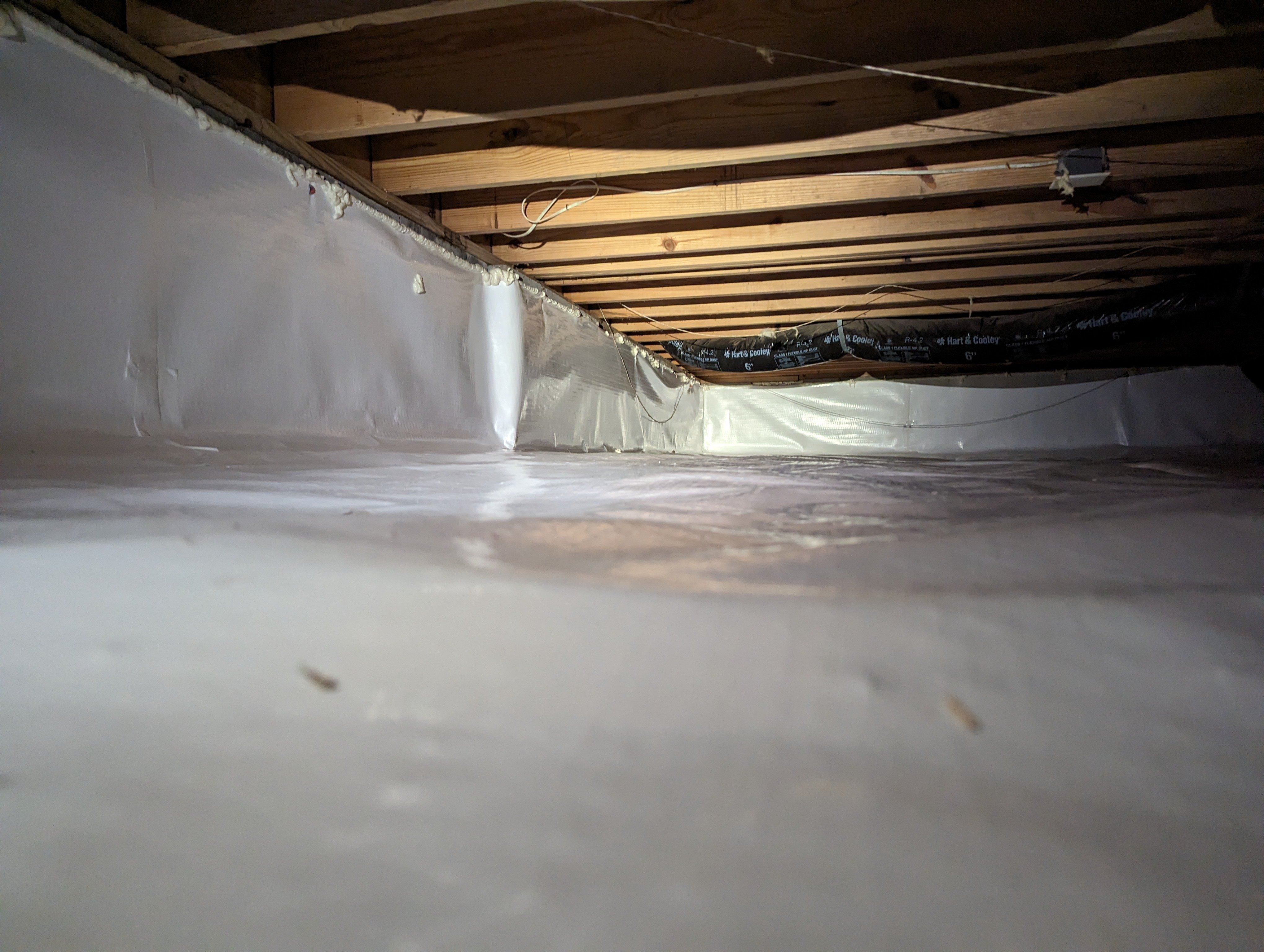 Avatar for Cassidy crawlspace