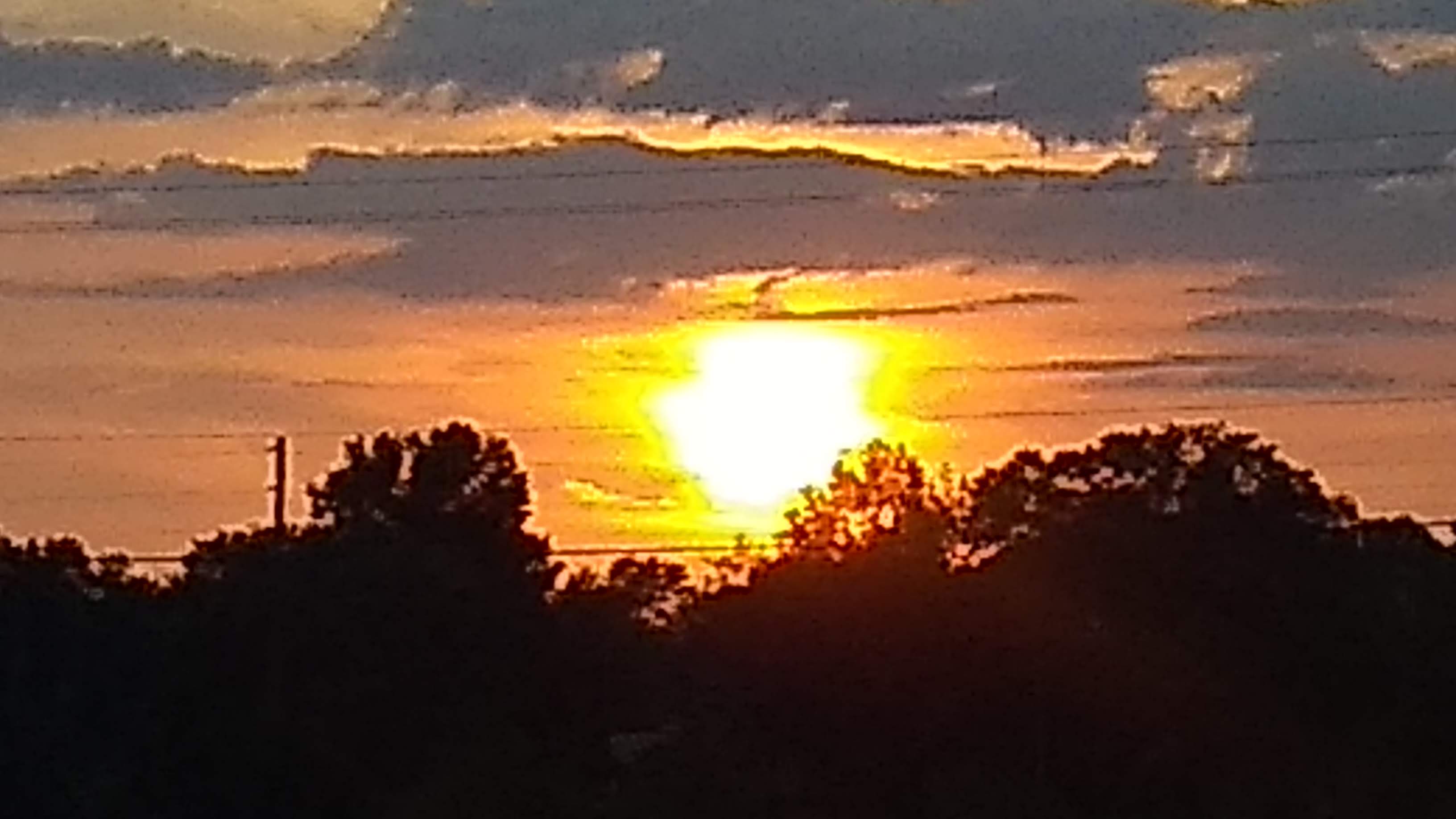 Avatar for Williams Plumbing and Construction