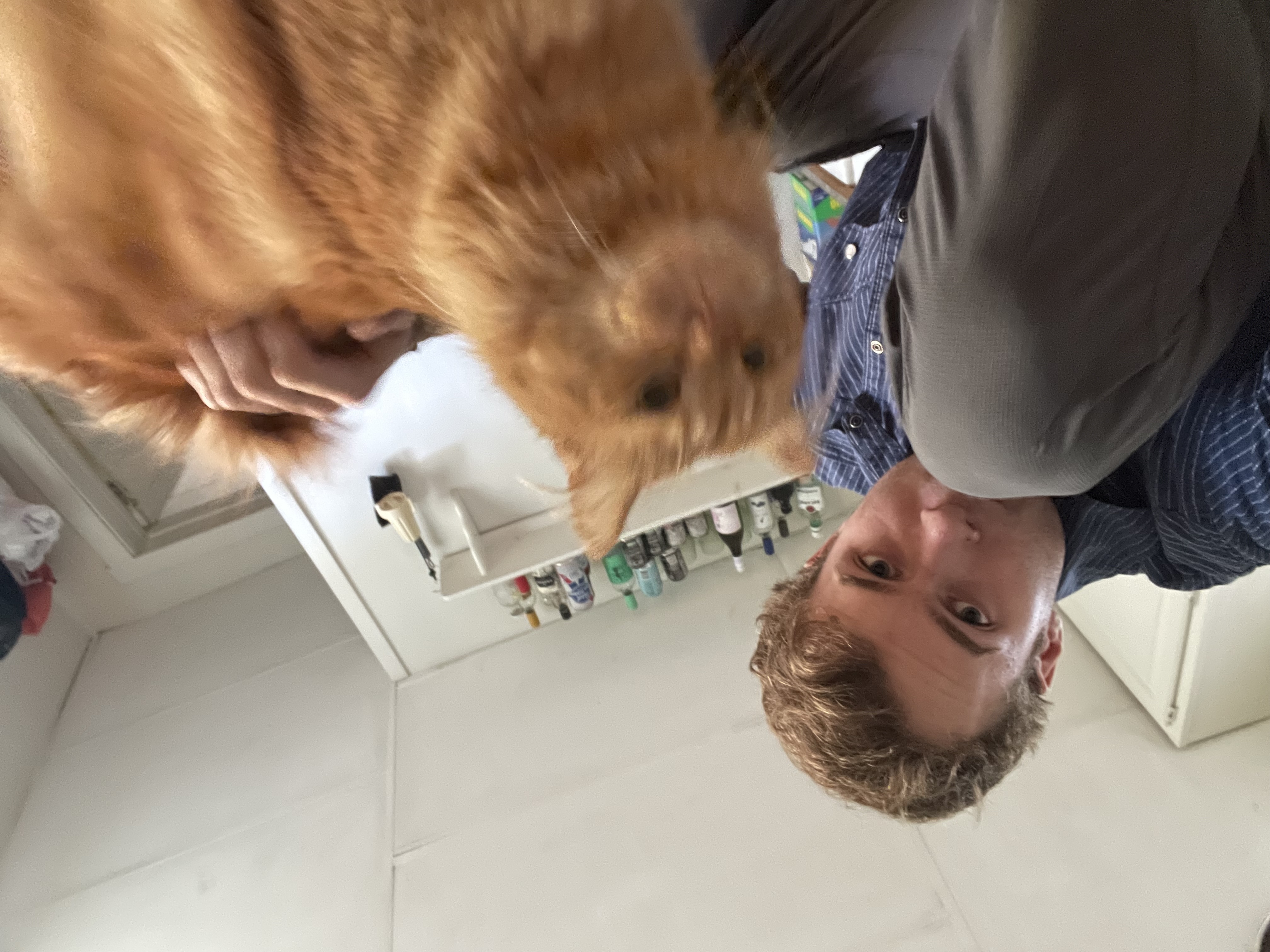 Avatar for Henry Erkfitz