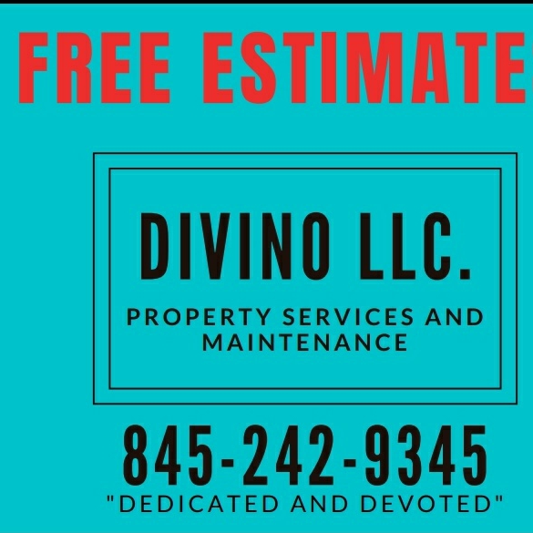 DIVINO logo