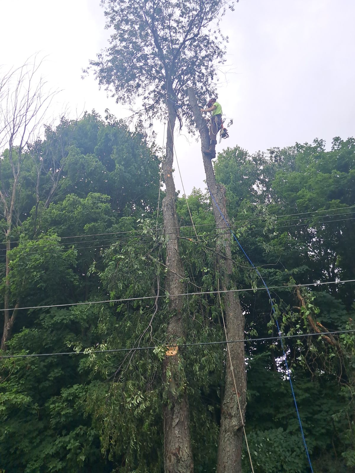 Avatar for Austin Harrington