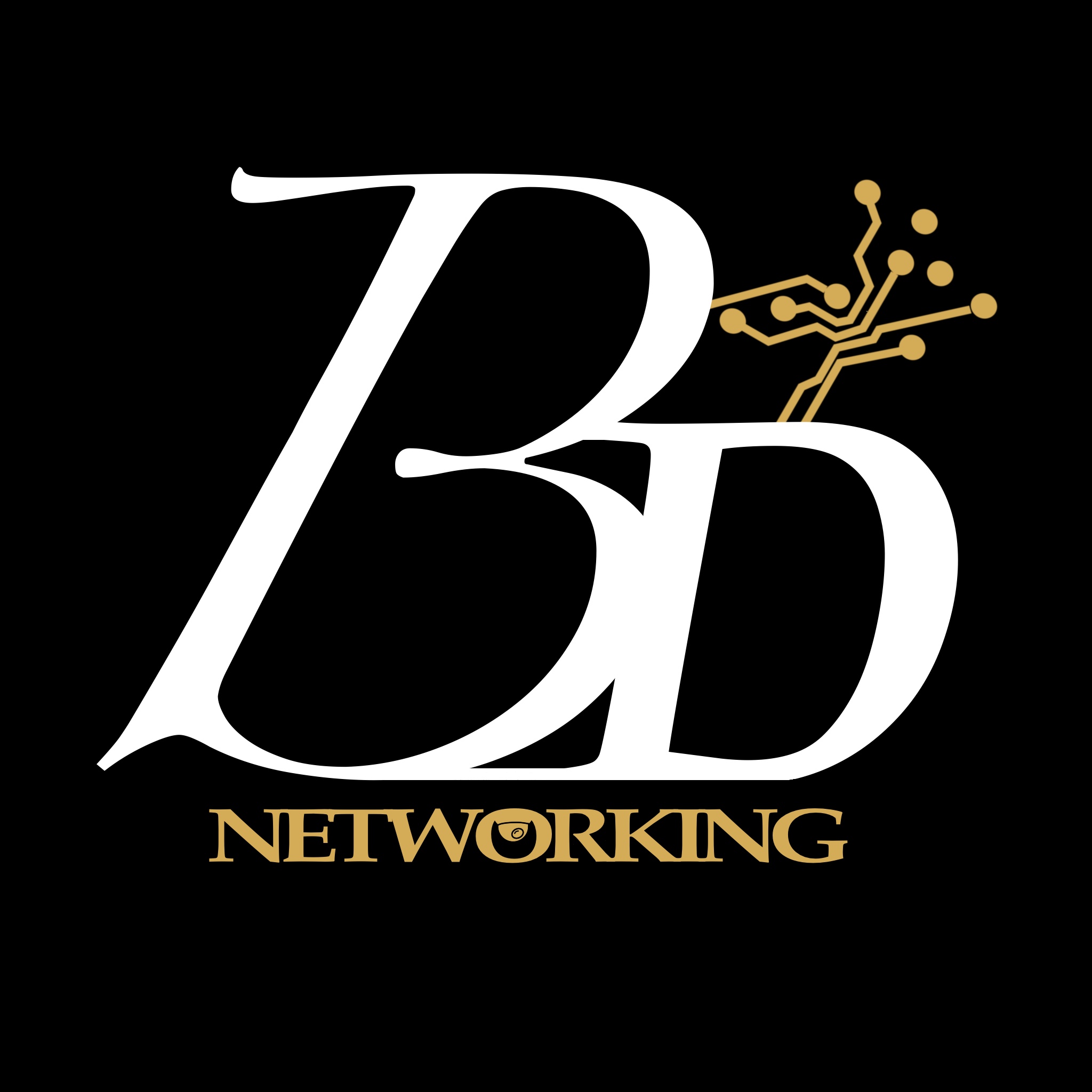 Avatar for Bdnetworking