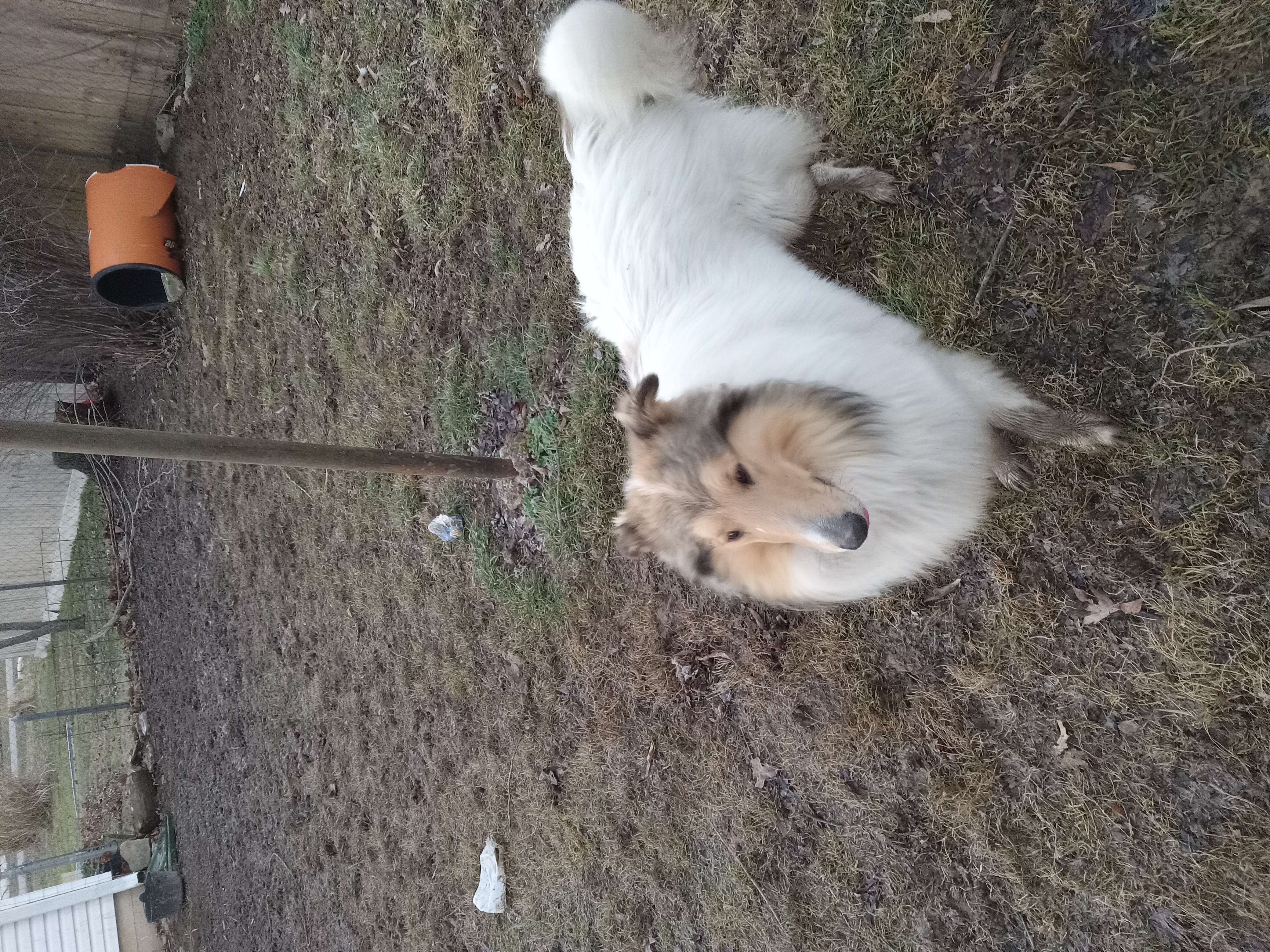 Avatar for Renovation team