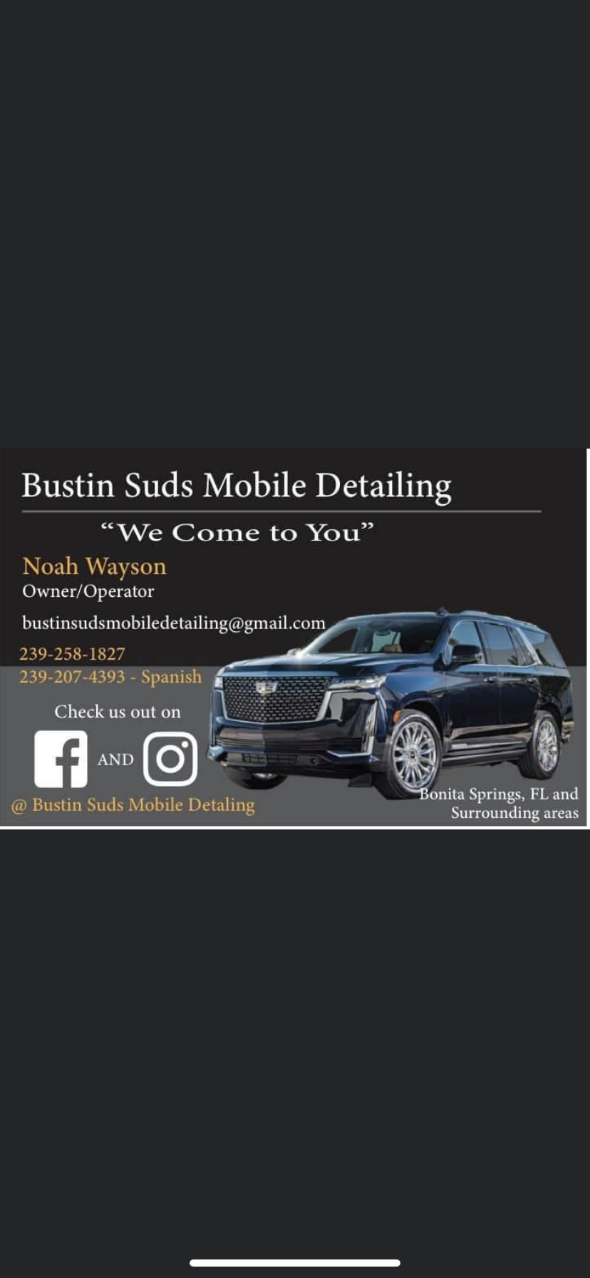 Bustin Suds Mobile Detailing logo