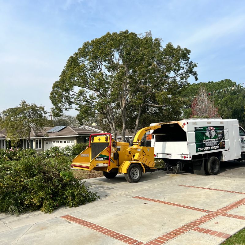 Avatar for Gnz Tree Experts Inc