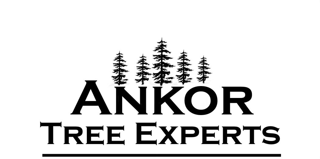 Avatar for Ankor Tree Experts