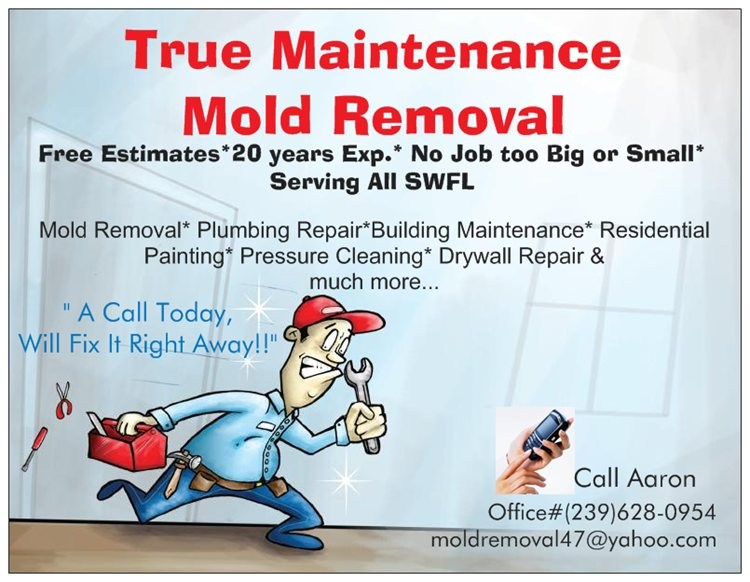 True Maintainance Mold Removal logo