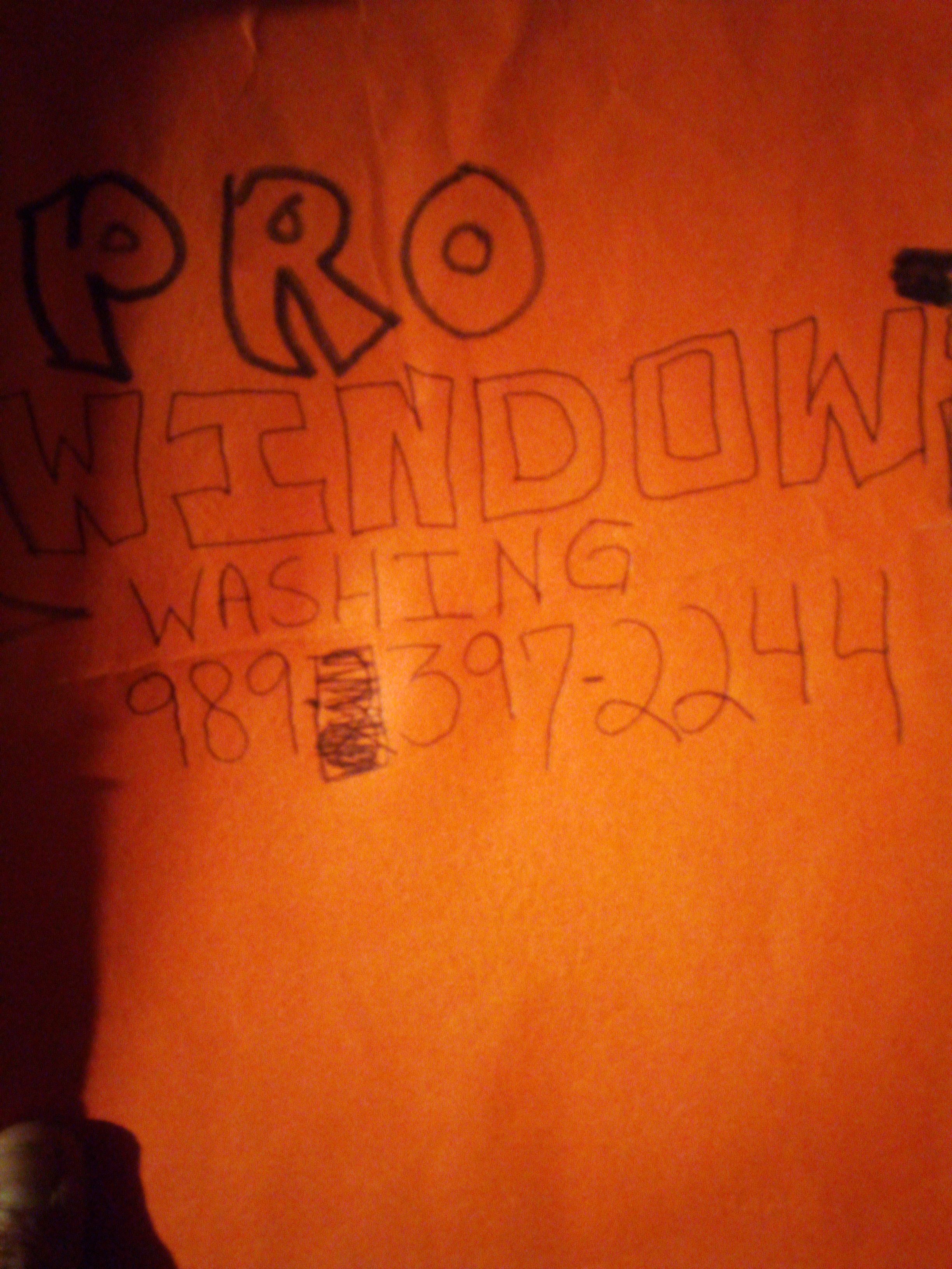 Avatar for Pro window washing 