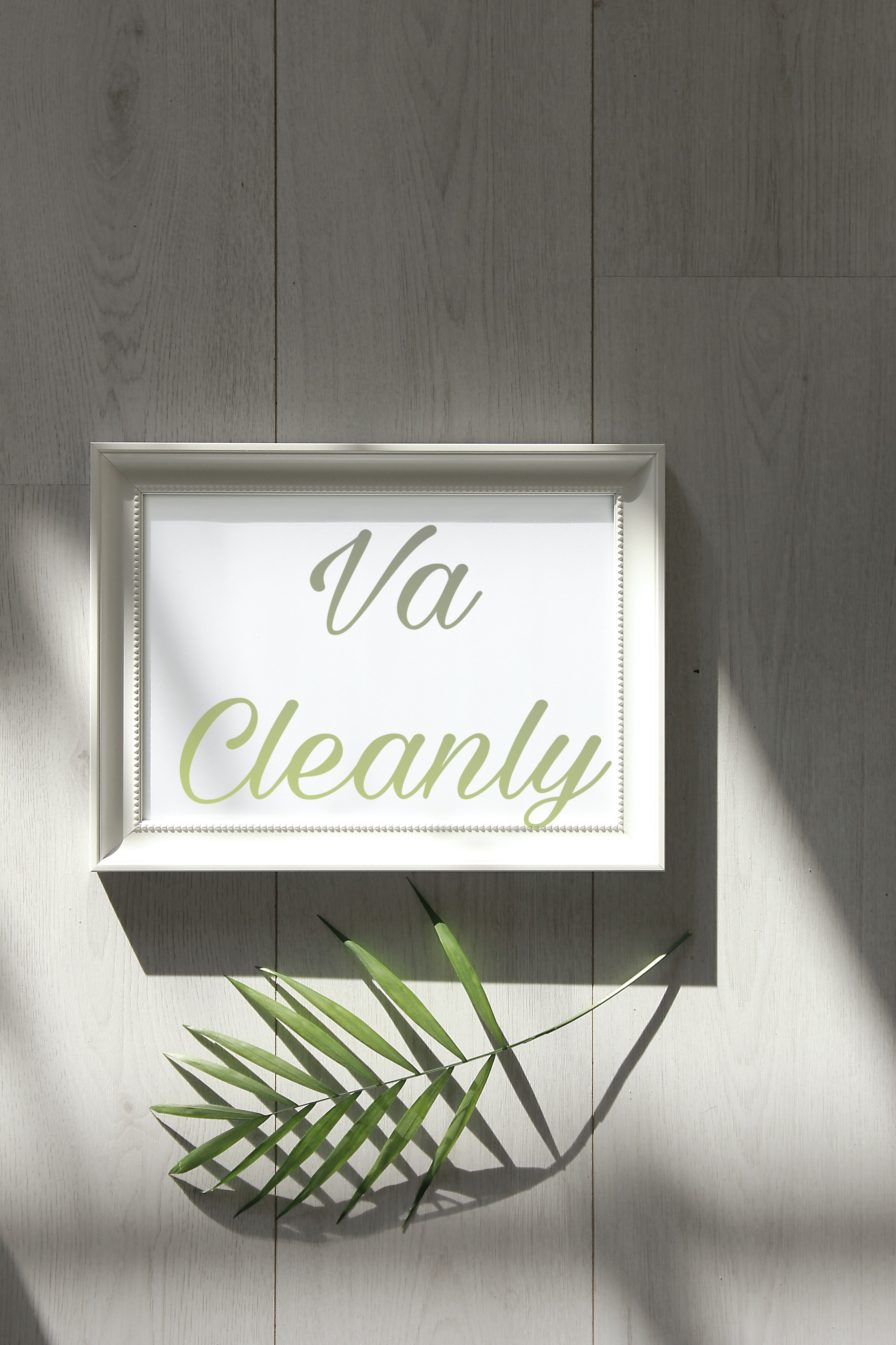 Avatar for Va Cleanly
