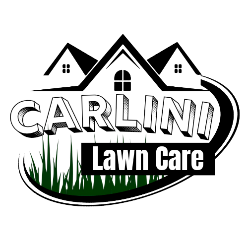 Avatar for Carlini Lawn Care