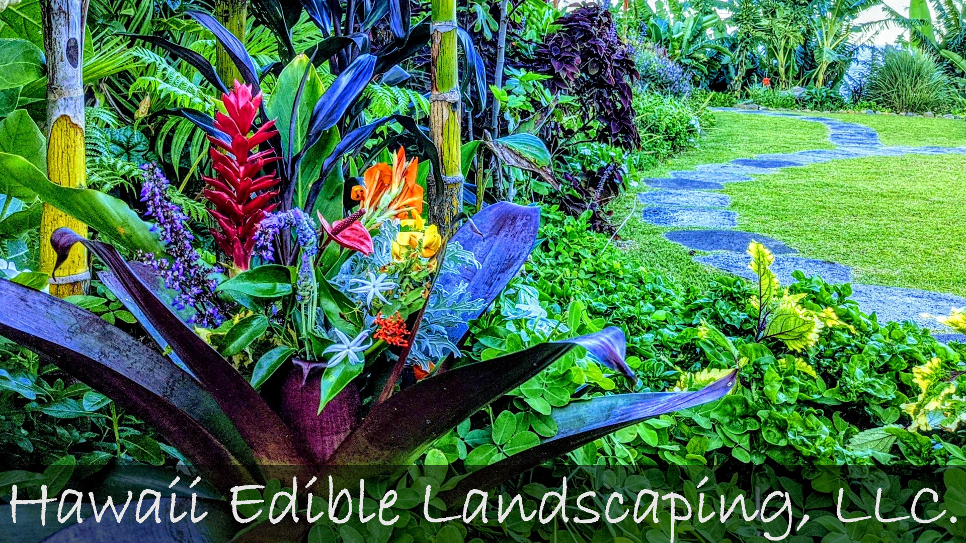 Avatar for Hawaii Edible Landscaping, LLC.