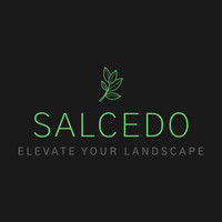 Avatar for Salcedo Platinum Services, LLC.