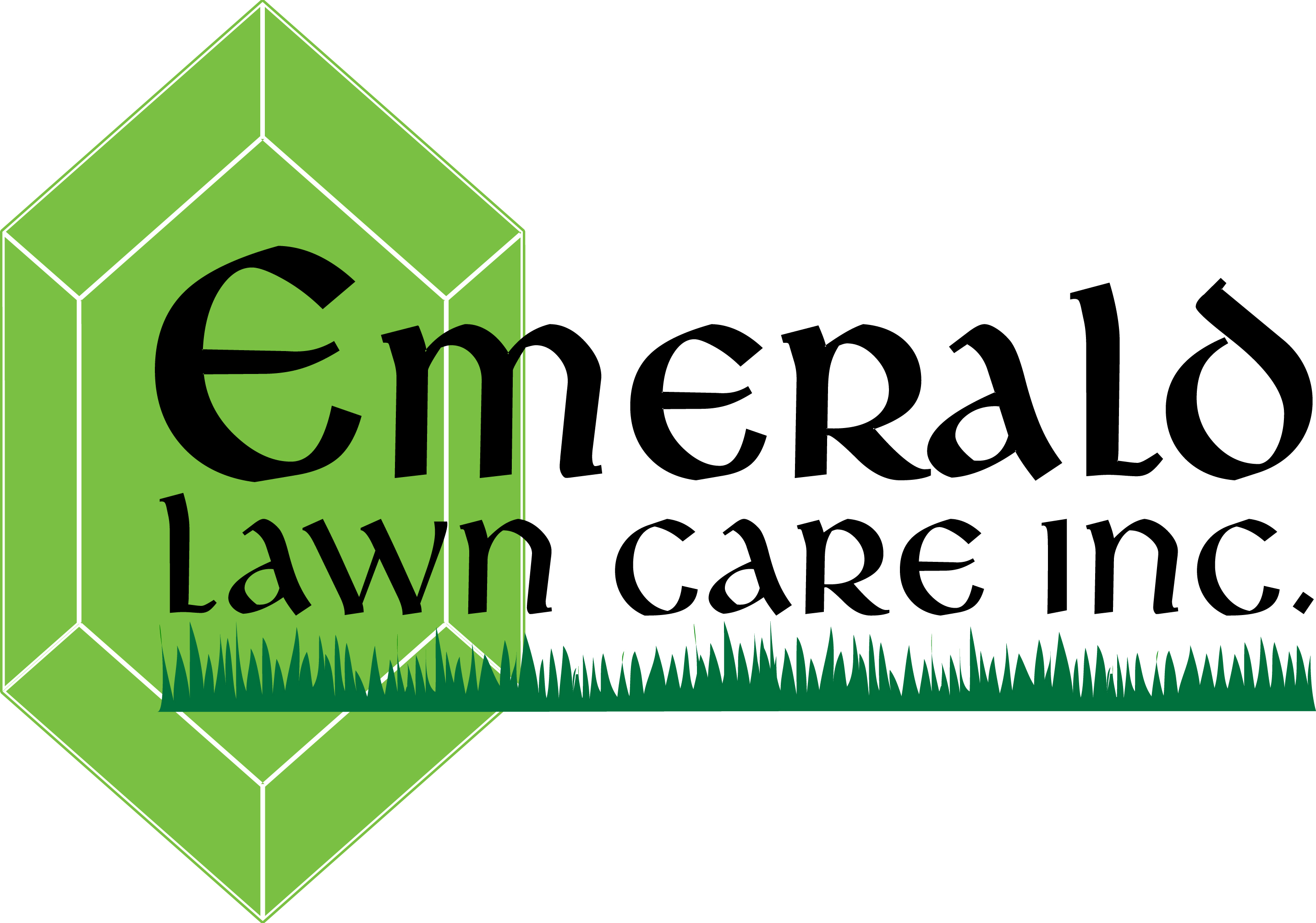 Avatar for Emerald Lawn Care Inc