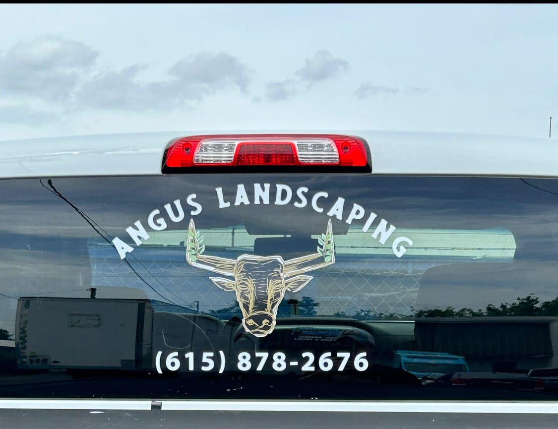 Avatar for Angus Landscaping 