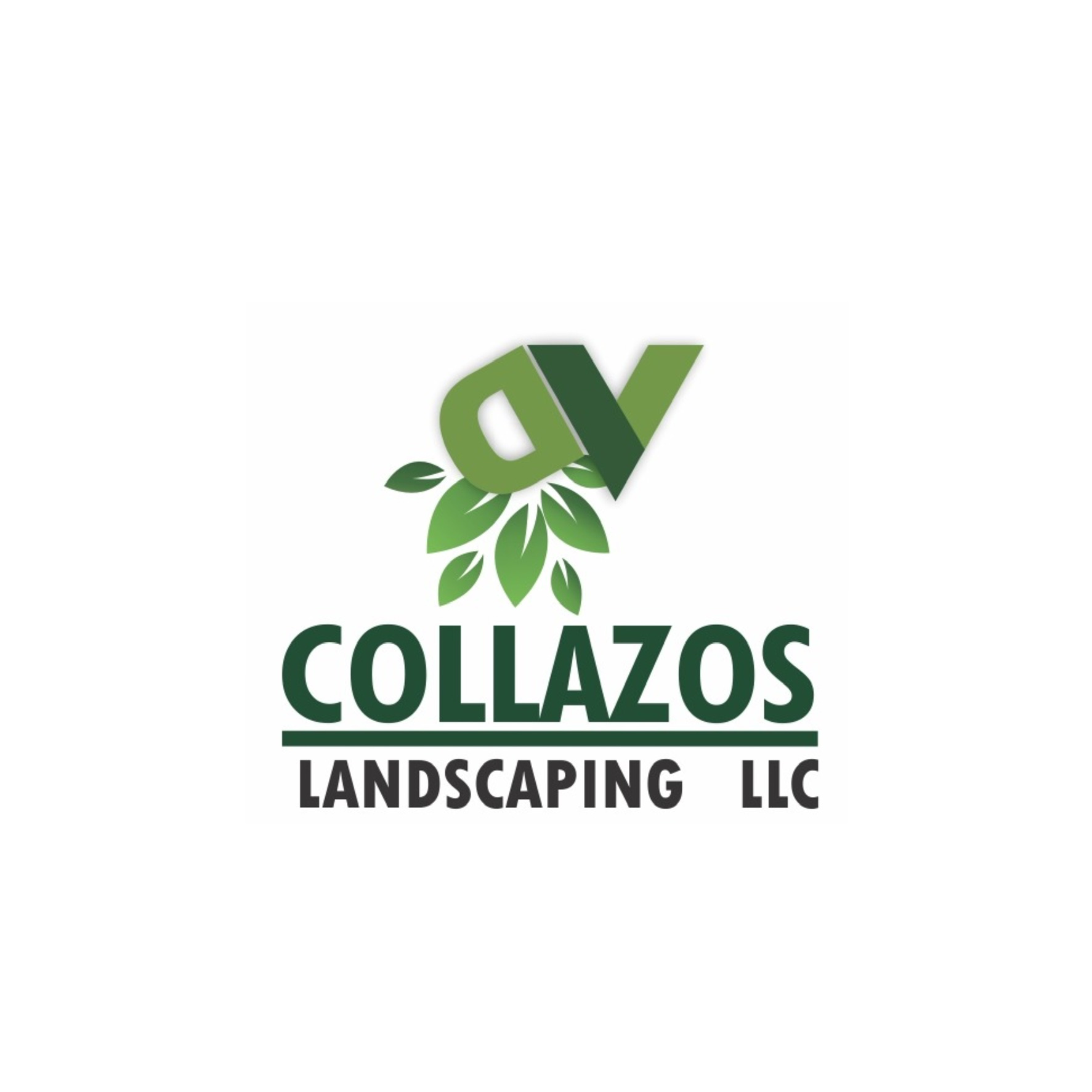 Avatar for Collazos Landscaping