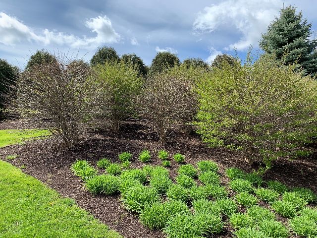 Avatar for B.Landscape