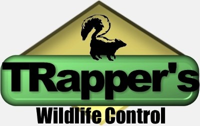 Avatar for Trapper's Wildlife Control