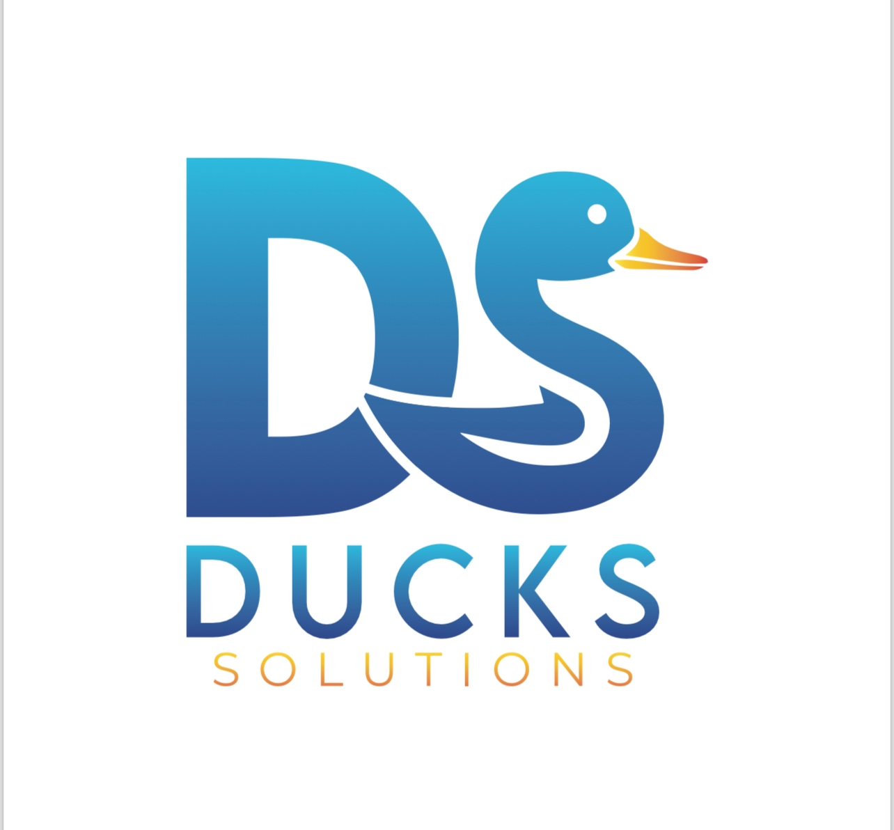 Logo for Ducks Solutions