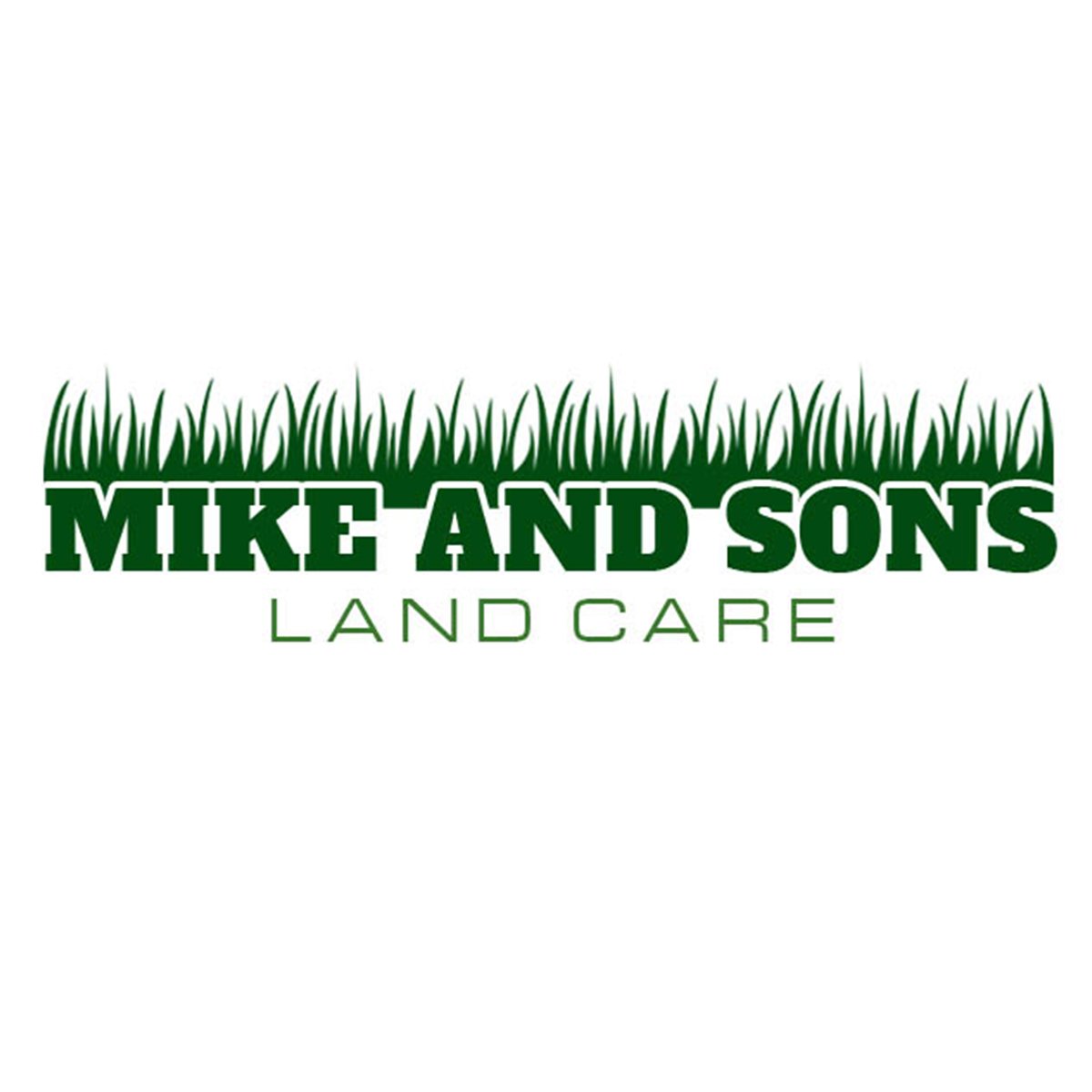 Avatar for  Mike and Sons Land Care