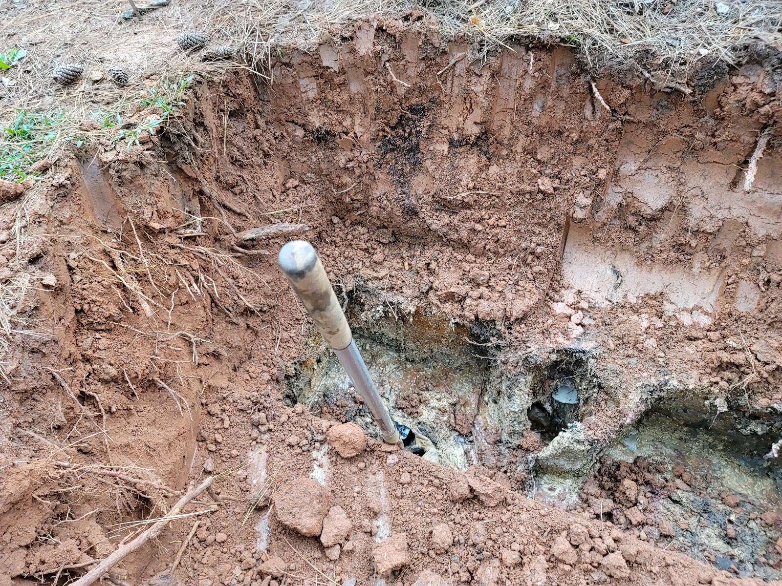 Action Septic Pro LLC Reviews Snellville, GA Angi