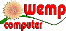 Wemp System Solution logo