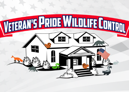 Avatar for Veteran's Pride Wildlife Control