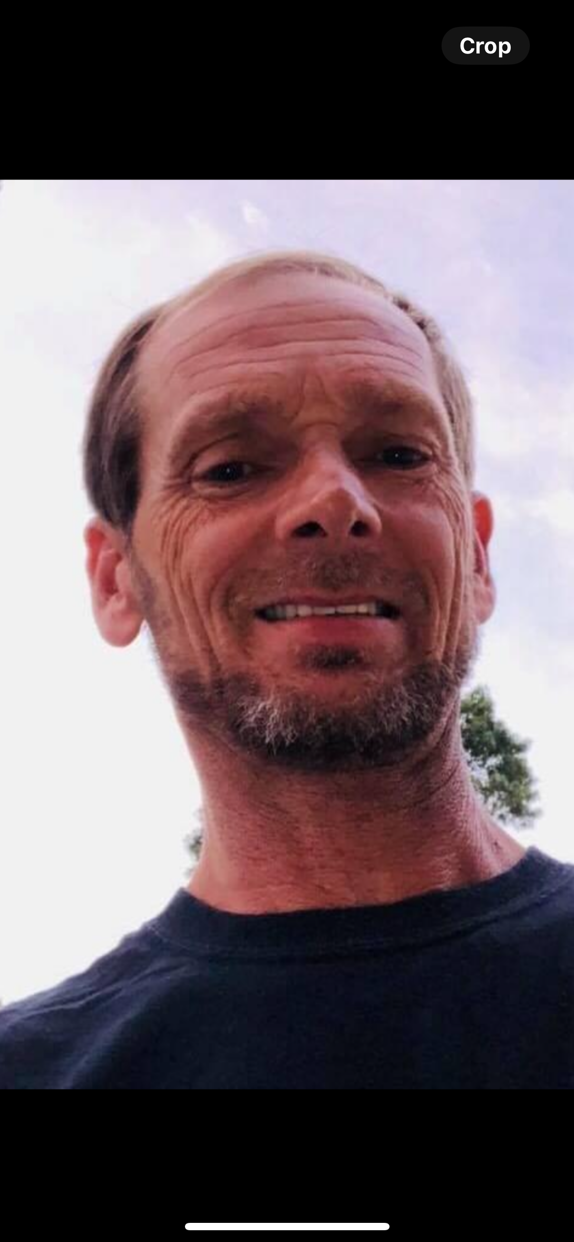 Avatar for Timmons lawn care landscaping 