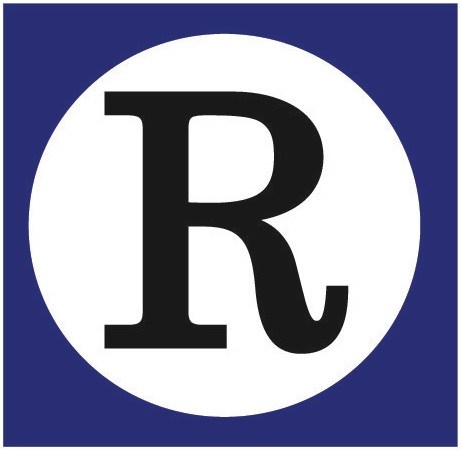 RIDDLE logo